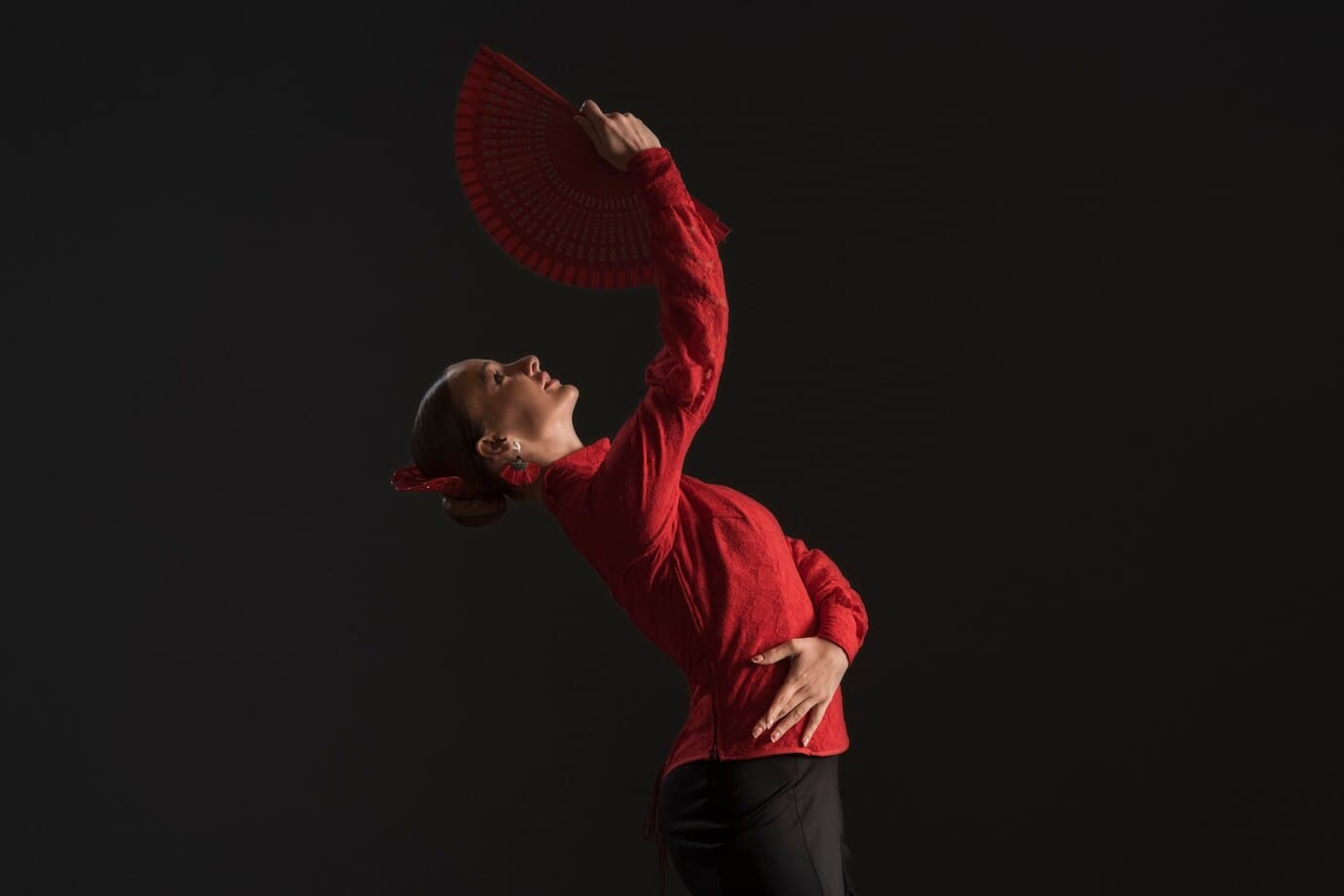 Flamenco Dance: Passion & Technique