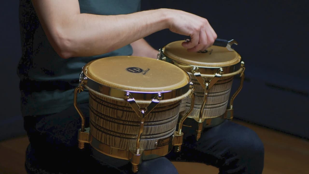 Bongo Drums