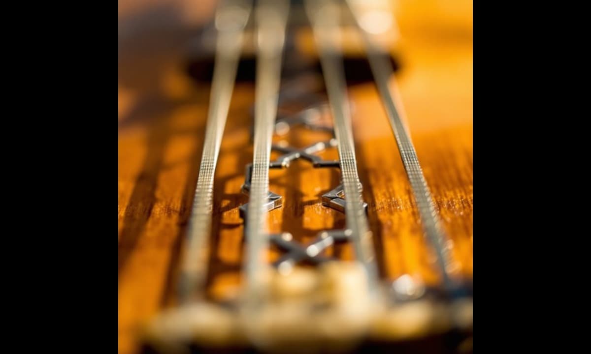 sitar