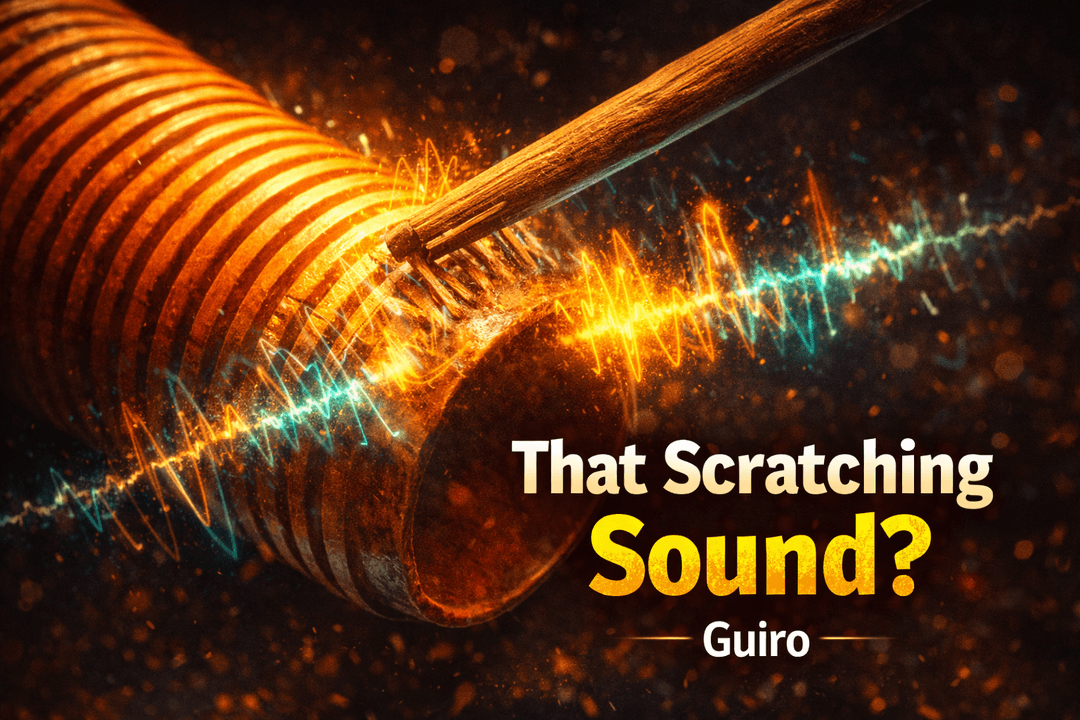 Everything You Need to Know About a Guiro